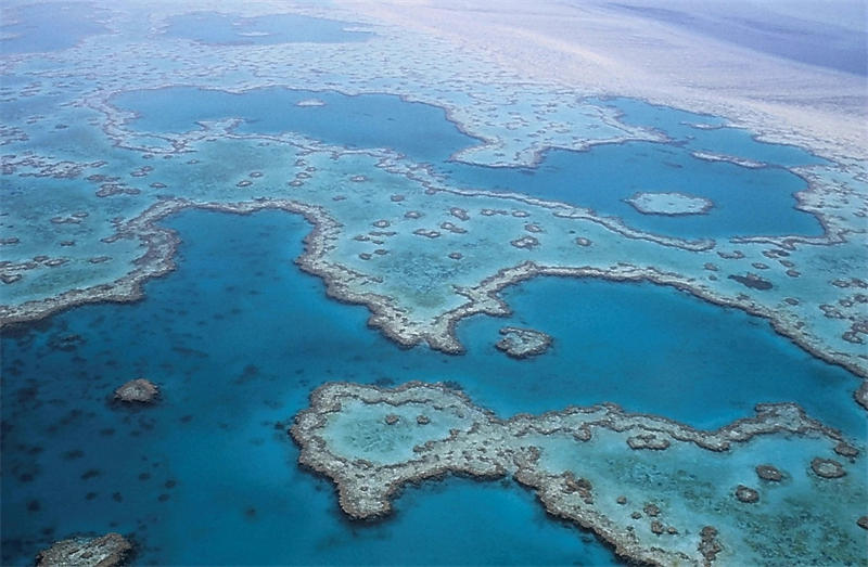 大堡礁是世界上最大的珊瑚礁