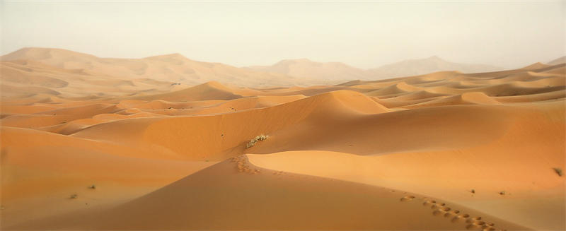 摩洛哥东南部是撒哈拉沙漠