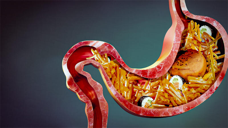 胃酸能够帮助我们更好的消化食物