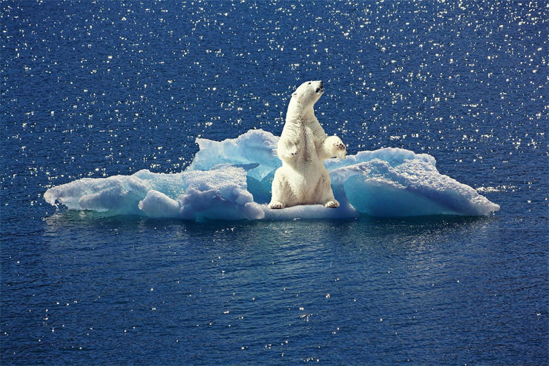气候变暖会导致两极冰川的融化，这会对两极地区的生态造成极为严重的影响
