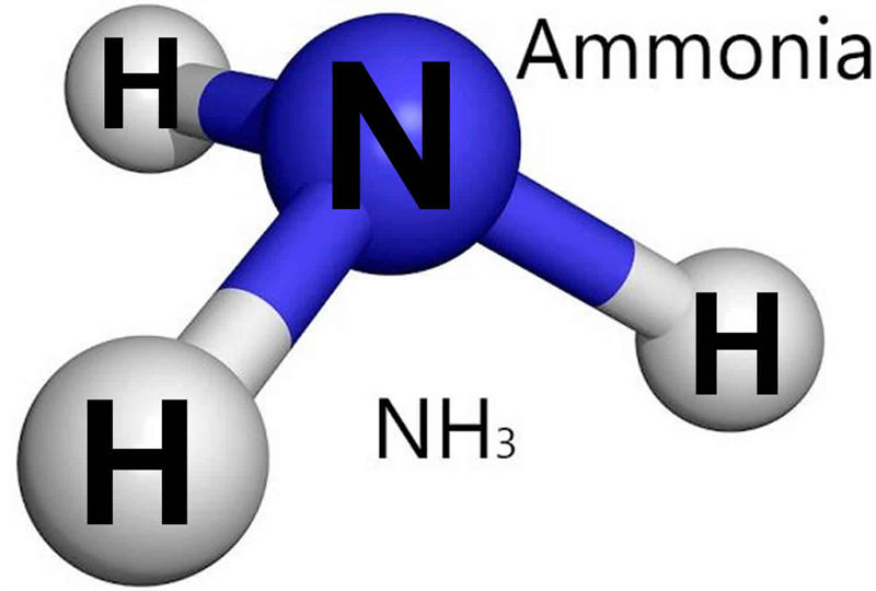 氨(NH3)的分子模型