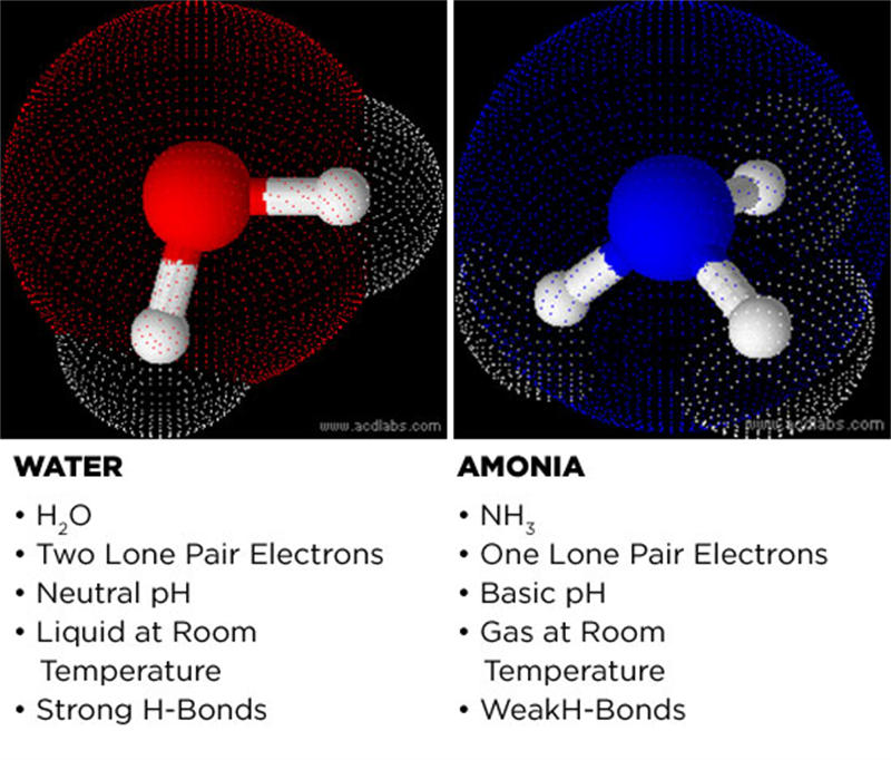 氨和水拥有很多相似性