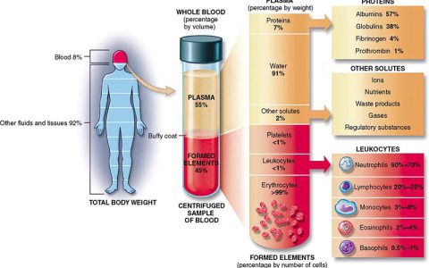 血液的组成成分：红细胞、白细胞、血小板和血浆