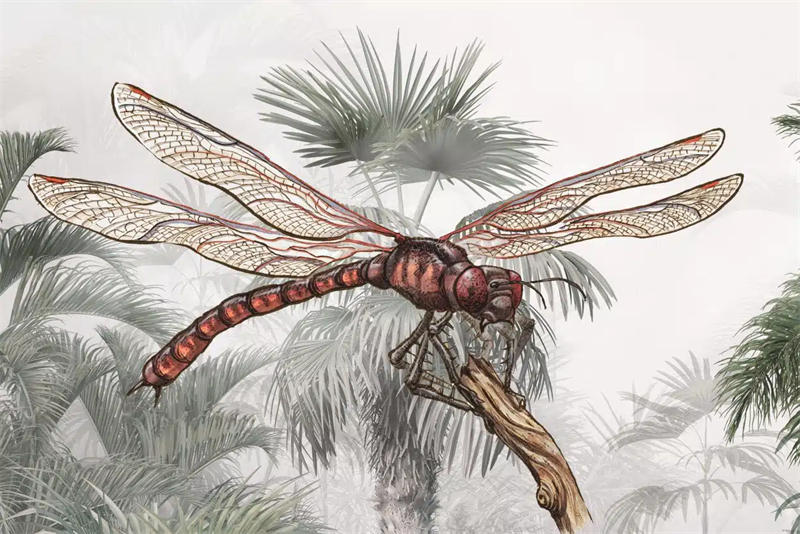 远古时期的一种巨型蜻蜓
