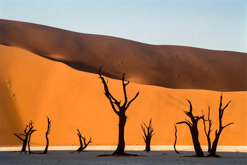 纳米比沙漠不但是世界上最古老的沙漠，而且一些沙丘的高度非常高