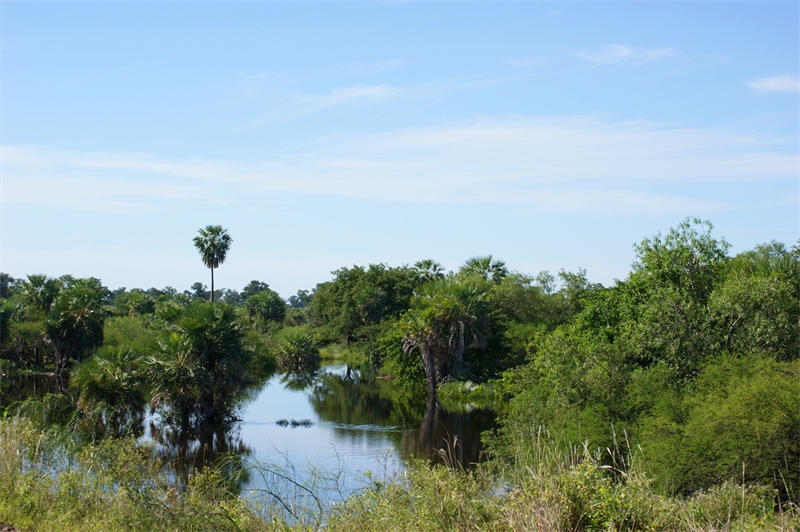 巴拉圭的沼泽地带