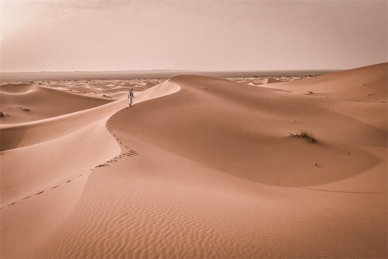 一望无际的撒哈拉沙漠是世界上最大的沙漠