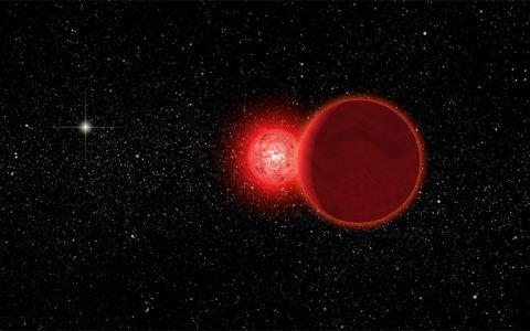 ZTF J2020+5033：双星系统中两颗天体之间的距离小于太阳半径