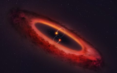 AC Herculis：第一次在双星系统的极地星盘中发现系外行星