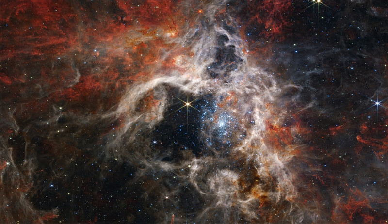 蜘蛛星云(Tarantula Nebula)中的年轻疏散星团R136，在紧密的星团结构环境中，大质量恒星在相互运转或演化时，更容易将其中的恒星抛射出来。来源：ESA/Webb。