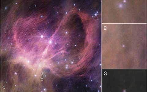 科学家在IC 348星团中发现了三颗低质量的褐矮星